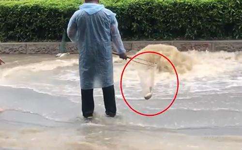 輸送帶廠家：廣州雨后內澇嚴重，路人當街捕魚