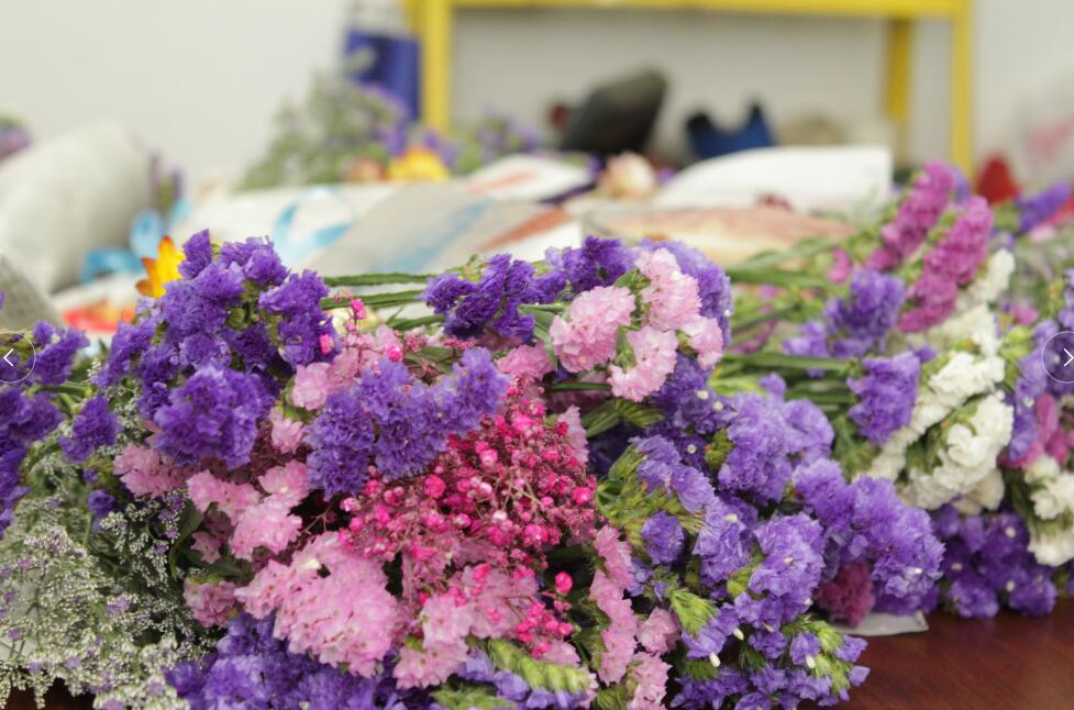 三八女神節(jié)，擎川給女神們送上驚喜！