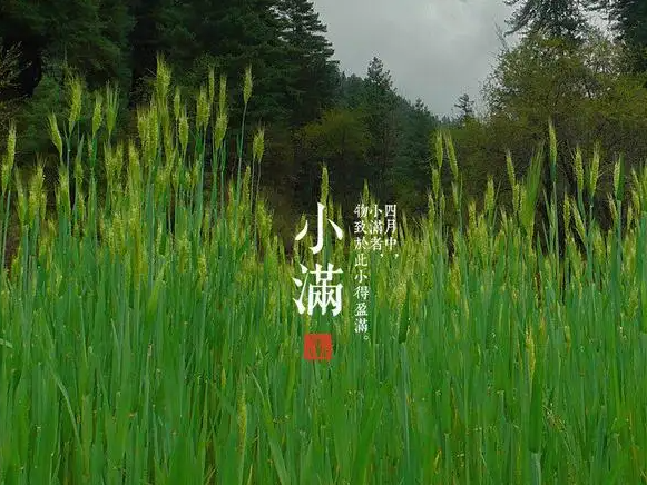 今日小滿，擎川與你一起靜待美滿！