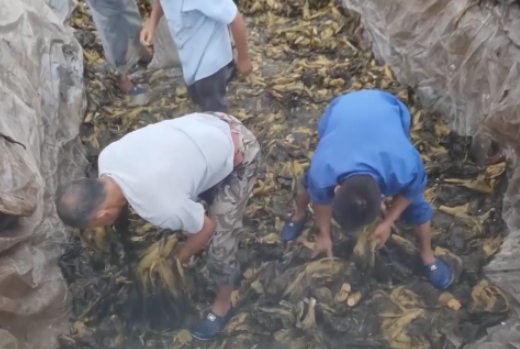 食品輸送帶：“土坑酸菜”11家企業(yè)復工，消費者還買單嗎