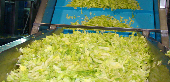 1639993850827934.jpg 果蔬輸送帶2.jpg