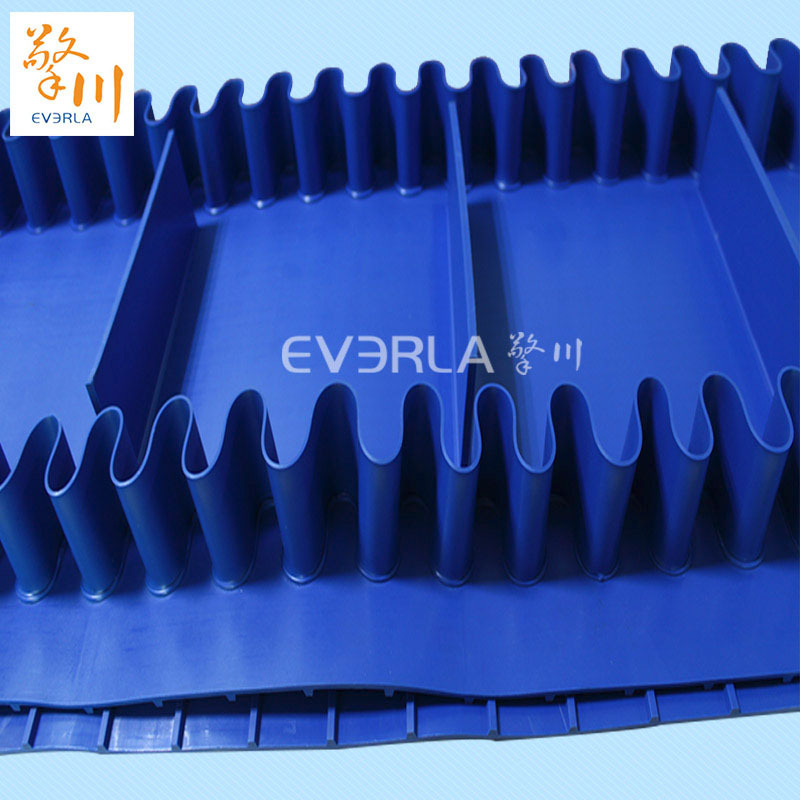 什么是食品輸送帶設(shè)備拖鏈？